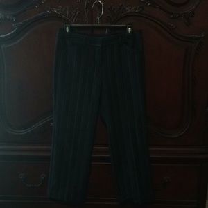 Express Crop Slacks